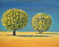 'Trees, Akamas'
